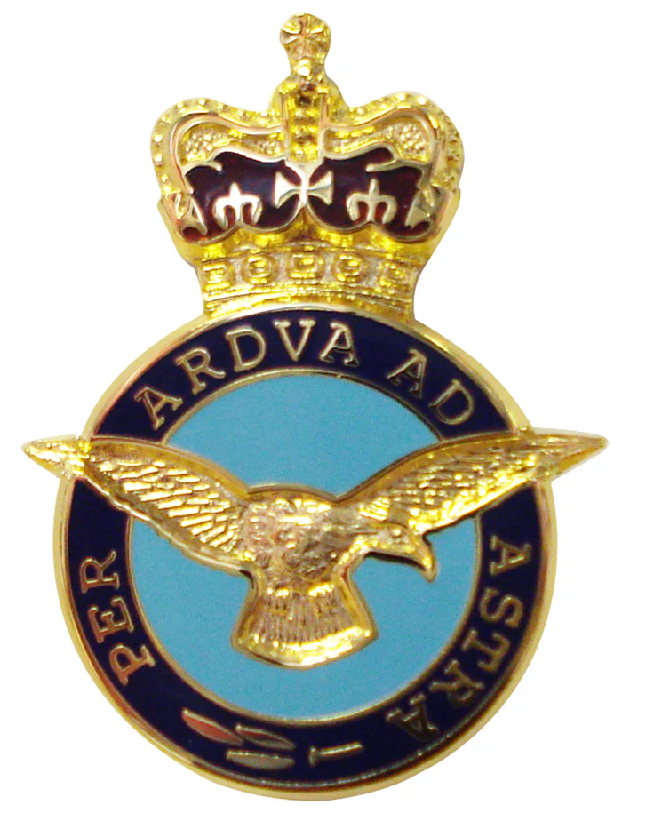 RAF Crest Lapel Badge (Regular) - Image 2