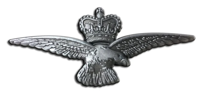 RAF Sweetheart Pin Badge - Image 2