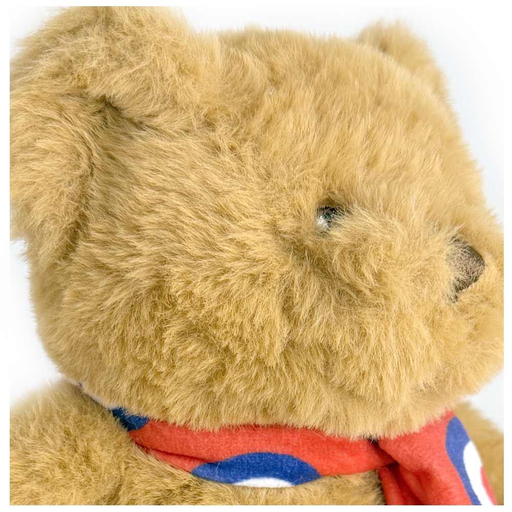 RAF Museum Bear With Roundel Scarf - Image 4